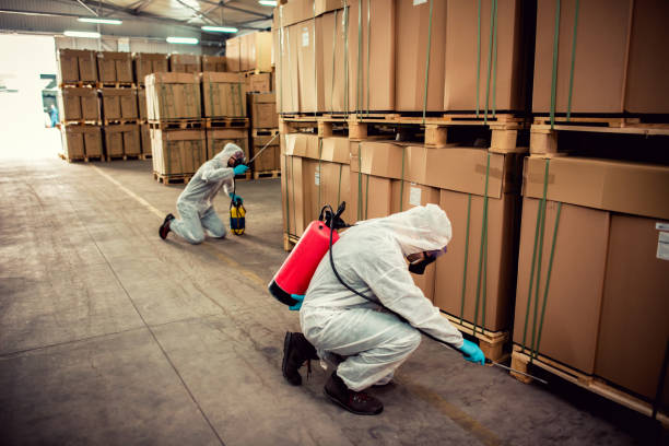 Best Pest Removal Services  in Kempner, TX