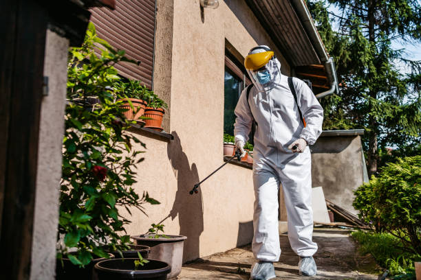 Best Residential Pest Control  in Kempner, TX