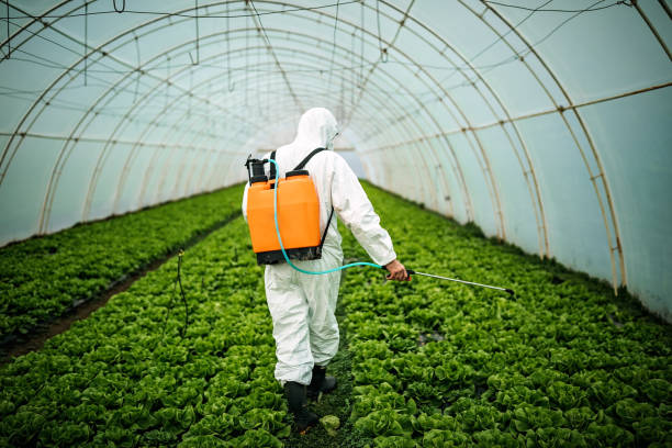 Best Pest Prevention Services  in Kempner, TX