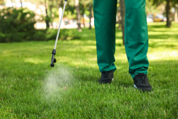 Best Termite Control Services  in Kempner, TX