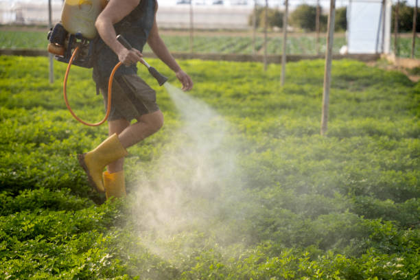 Best Best Pest Control Companies  in Kempner, TX