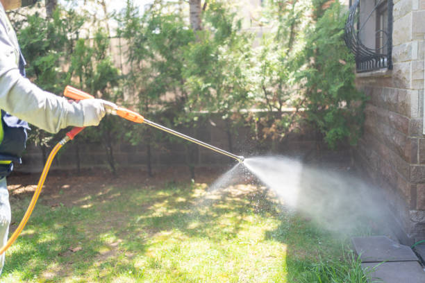 Best Flea Control Services  in Kempner, TX
