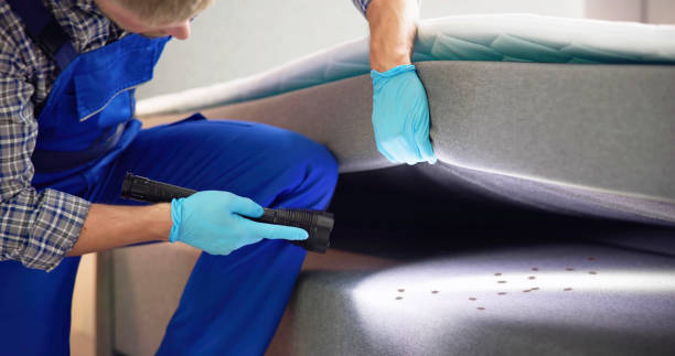 Best Commercial Pest Control Services  in Kempner, TX