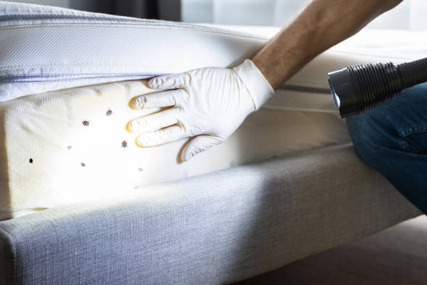 Best Affordable Pest Control Services  in Kempner, TX