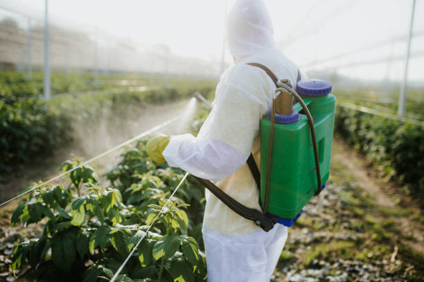 Best Local Pest Control Services  in Kempner, TX